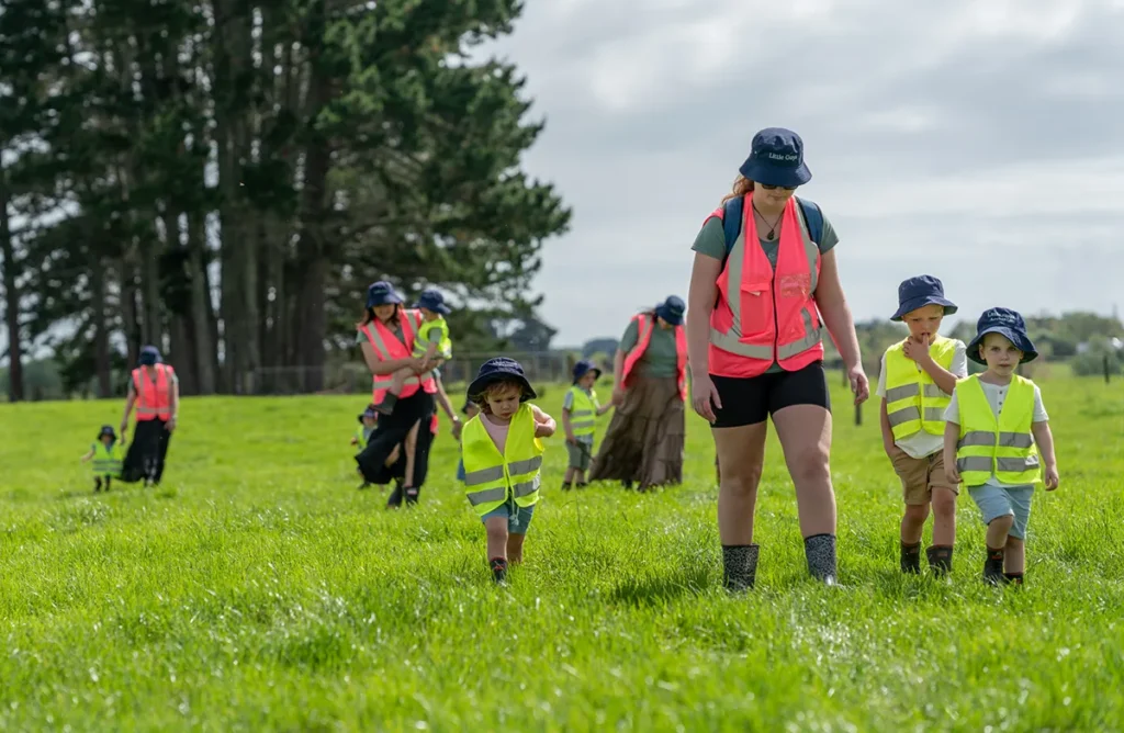 about little guys auckland ece childcare
